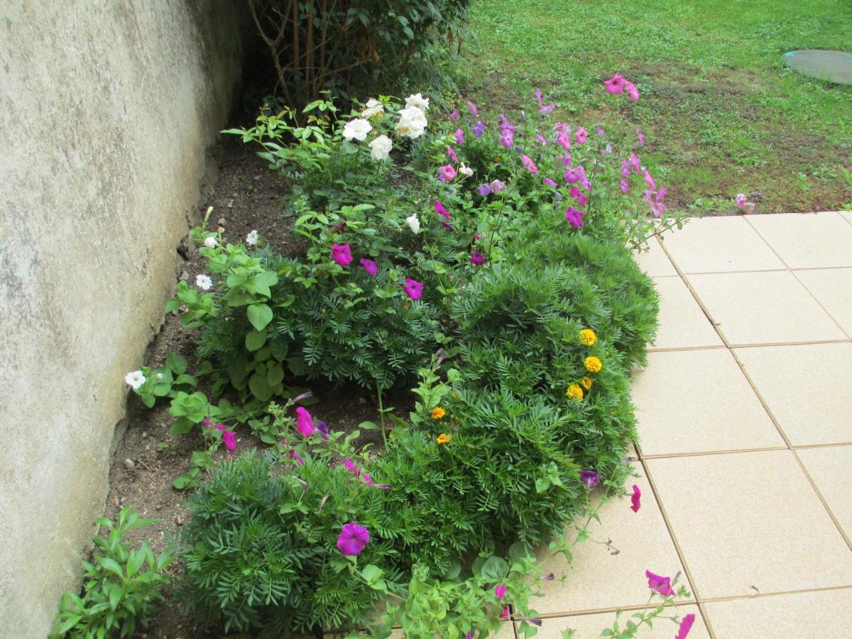Chambre D'Hotes B&B Moncel-sur-Seille Exterior foto